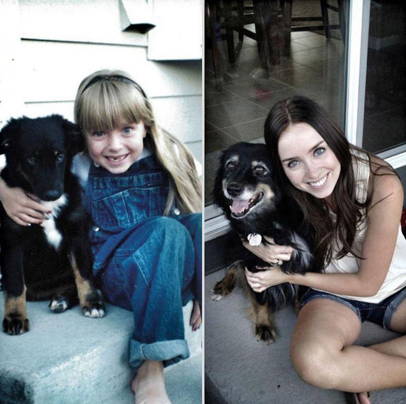 Our favorite animals: photos before and after growing up