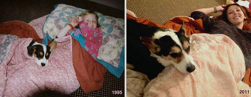 Our favorite animals: photos before and after growing up