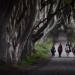 "Pack your bags, Westeros is waiting!": HBO will give tourists access to the set of Game of Thrones