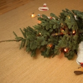 Papá Gigantoman: un árbol de Navidad en la casa o una casa en el árbol de Navidad