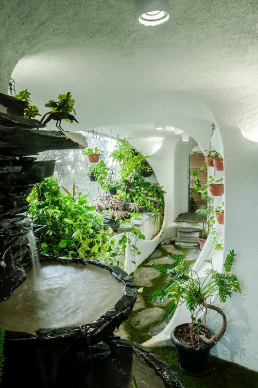 Paradise in the metropolis: plants breathed life into a one-room apartment