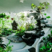 Paraíso en la metrópoli: las plantas dieron vida a un apartamento de una habitación