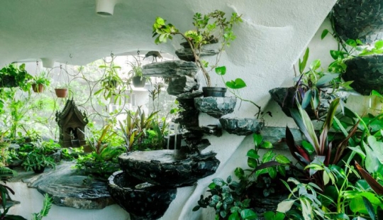 Paraíso en la metrópoli: las plantas dieron vida a un apartamento de una habitación