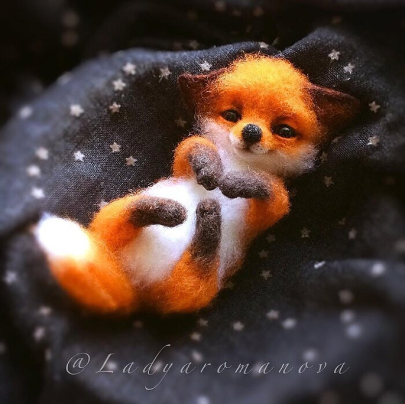 Paws of foxes and other adorable little animals mistresses Anna Romanova