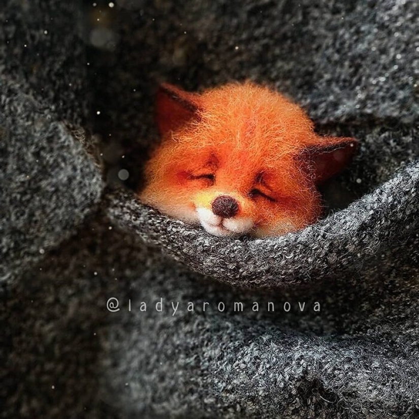 Paws of foxes and other adorable little animals mistresses Anna Romanova