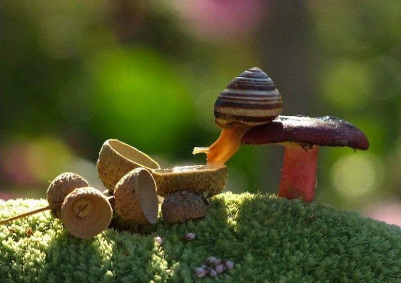 Personal life of snails