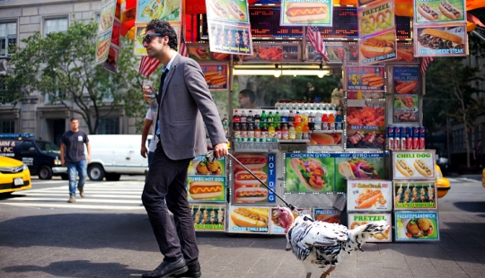 Photographer documents the beauty of New York