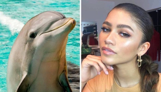 Piel de delfín: una nueva tendencia de belleza de las celebrities