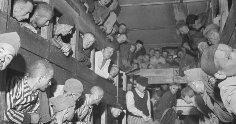 "Piensa en cómo morimos": una historia de terror en el campo de concentración de Dachau