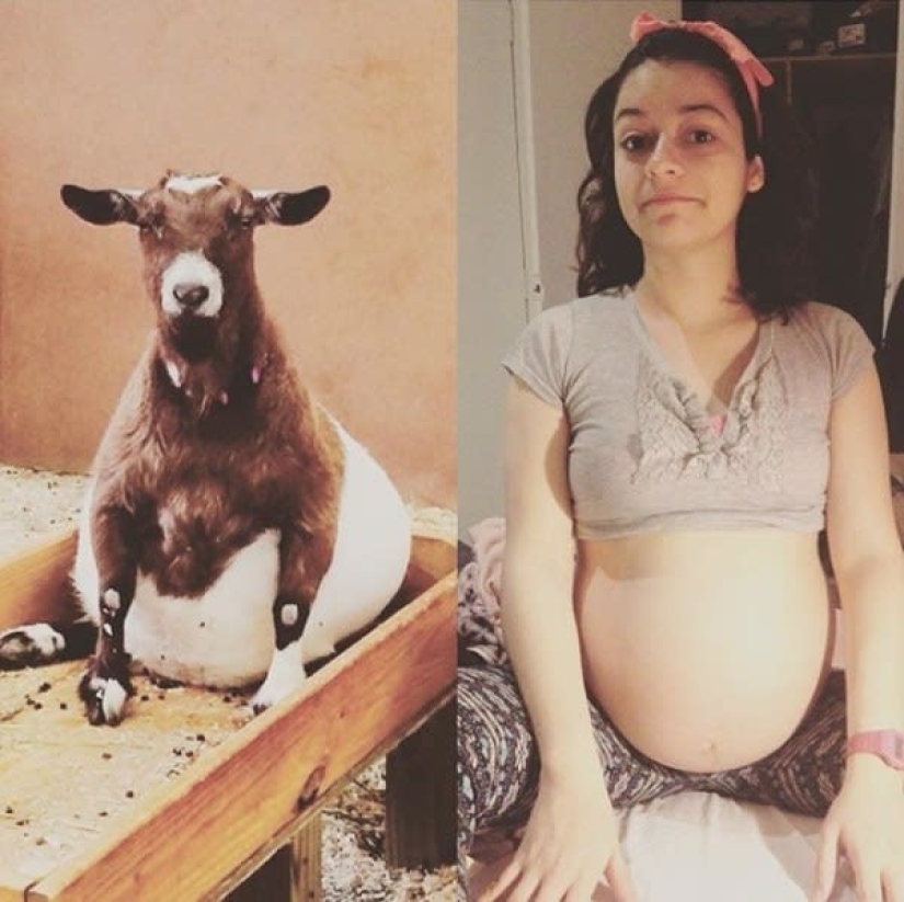 Piernas enormes, vientre enorme, todo enorme: 22 fotos sobre la realidad de las mujeres embarazadas