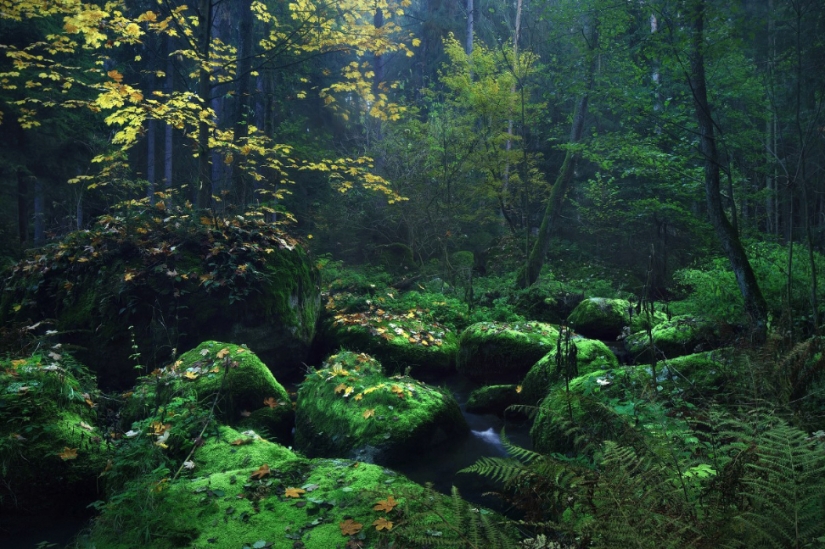 Places where Rumpelstiltskin's foot has trod