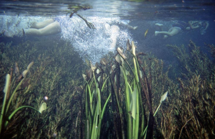 Places with the purest water, where you really want to swim