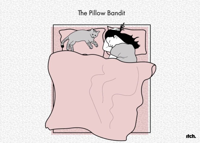 Plantea todo tipo de necesidades, plantea todo tipo de importante: la posición de la cama de mascota dice acerca de su actitud para usted
