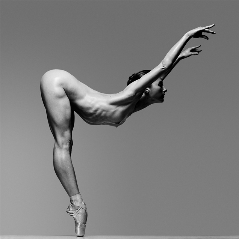 Plastic of the human body in photographs by Howard Schatz