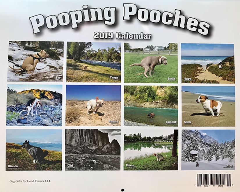 Pooping dogs-2019 : what to give a friend for the New Year