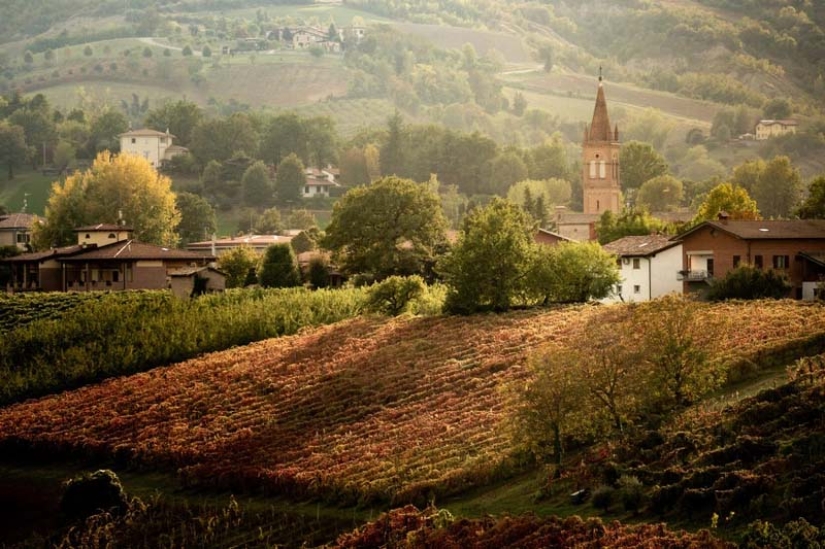 Por qué en Italia el vino fluía de los grifos en lugar de agua
