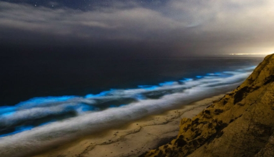Por qué las aguas de la costa de California se vuelven rojas durante el día y se iluminan con luz azul por la noche