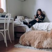 Por qué los finlandeses se sienten atraídos por tener alces domésticos