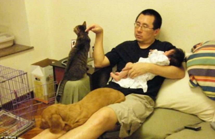 Por qué padre, hija, perro y gato toman la misma foto cada año durante una década