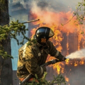¿Por qué se queman los bosques? Los expertos nombraron la razón del deterioro de la situación de los incendios en el planeta
