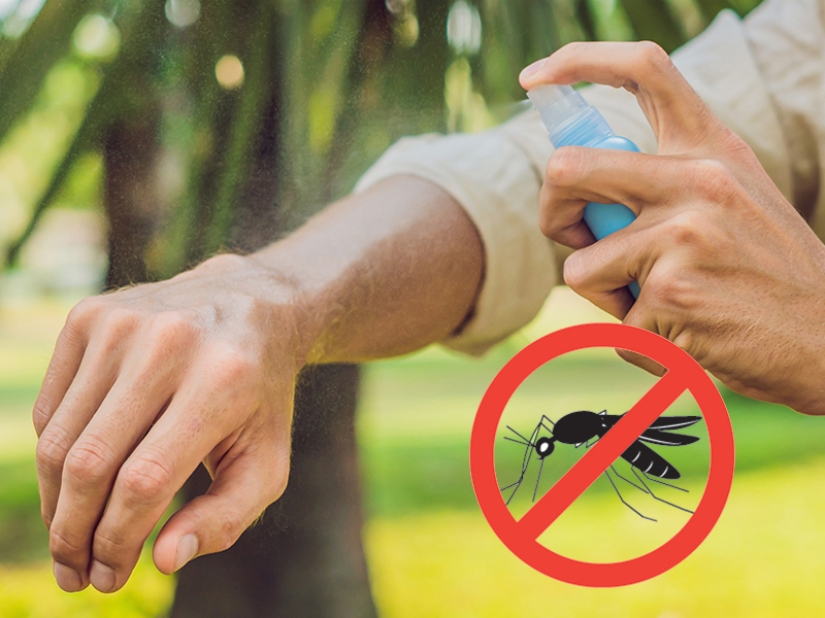¿Por qué te eligen los mosquitos? 10 factores de selección de víctimas