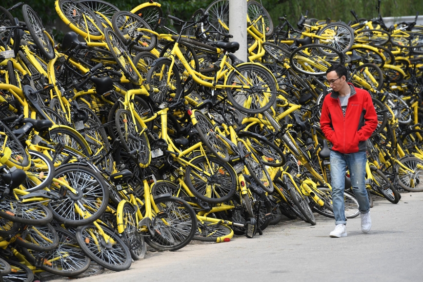 "Pot, don't cook!": how rental bicycles flooded China