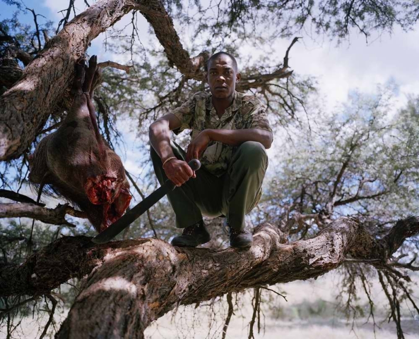 Provocative photo project "Hunters and prey"