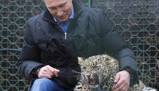 "Putin's leopard" was caught stealing chickens in an Abkhazian village