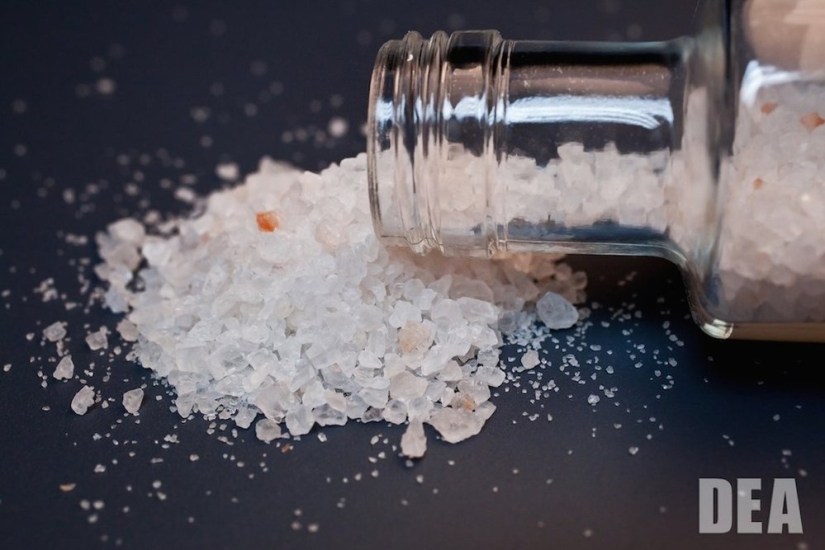 Qué le Hacen al Cerebro las 9 Sustancias Nocivas Más Populares, como el Alcohol, el LSD y la Cafeína