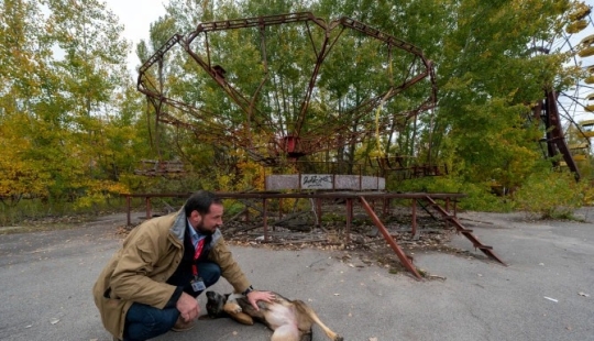 Rayos de bondad: un científico de los Estados Unidos sacrificó su carrera para salvar a los perros abandonados en Chernobyl