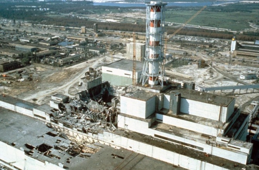 Rays of kindness: a scientist from the USA sacrificed his career to save abandoned dogs in Chernobyl