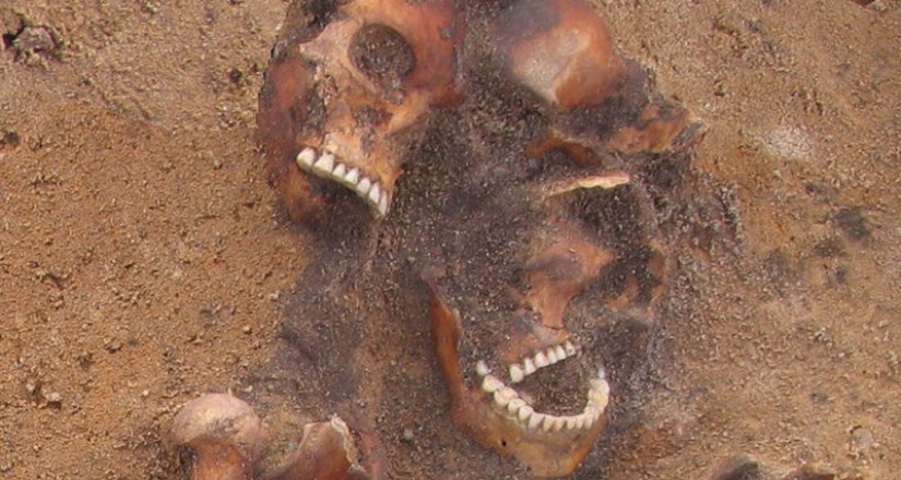 Remains of a woman from the Middle Ages with tropical syphilis found in Lithuania