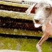 Rescate y transformación increíble de Frankie el perro encontrado en una zanja