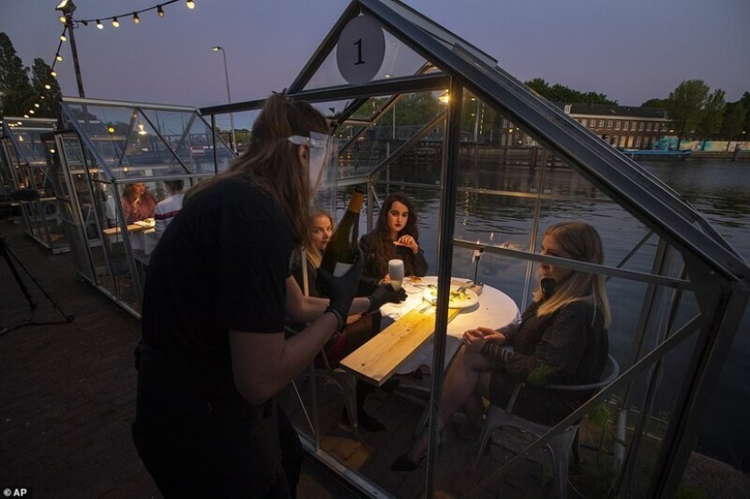 Restaurante holandés plantó visitantes para cenar en invernaderos