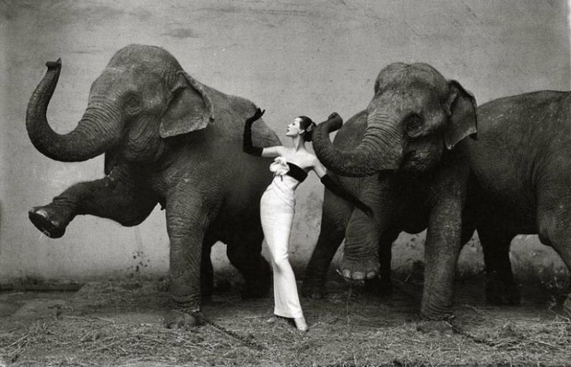 Richard Avedon is a virtuoso of a photo portrait, trusted by the stars