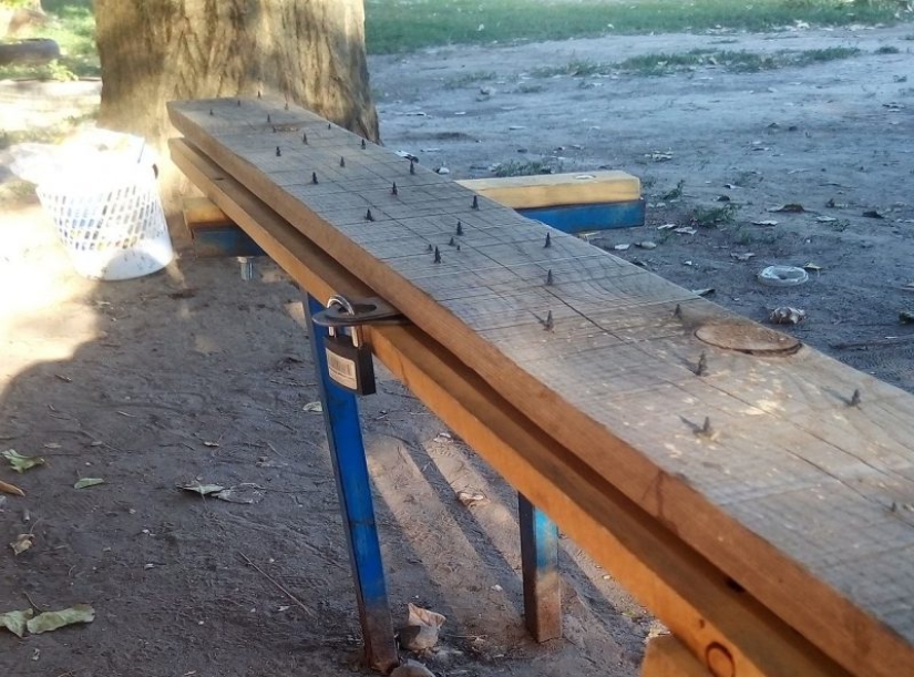 Rostov "bench for yogis" caused outrage of netizens