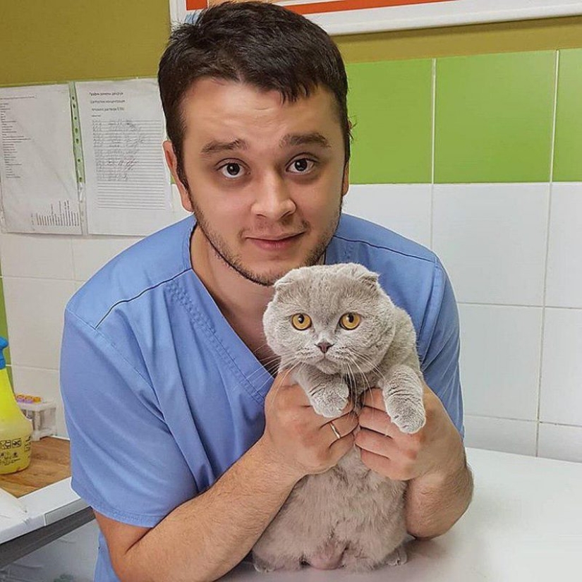 Russian Veterinarian Faces Jail for Saving Animals from Death