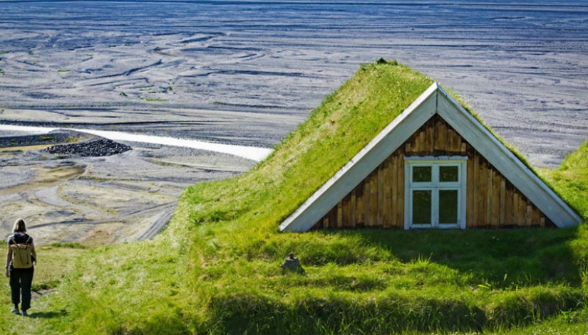 Scandinavian houses with green roofs that look like from a fairy tale