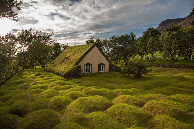 Scandinavian houses with green roofs that look like from a fairy tale