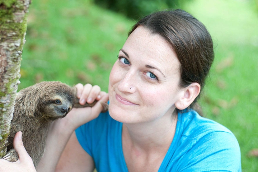 Scientists from Costa Rica take care of little sloths, replacing their own mothers