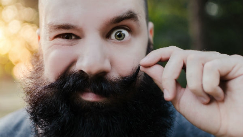 Scientists have answered the question why men need a beard