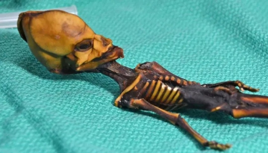 Scientists have revealed the secret of the origin of the 15-centimeter skeleton of the "alien"