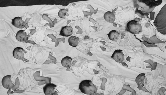 Se abrió paso: imágenes históricas del baby boom en los Estados Unidos