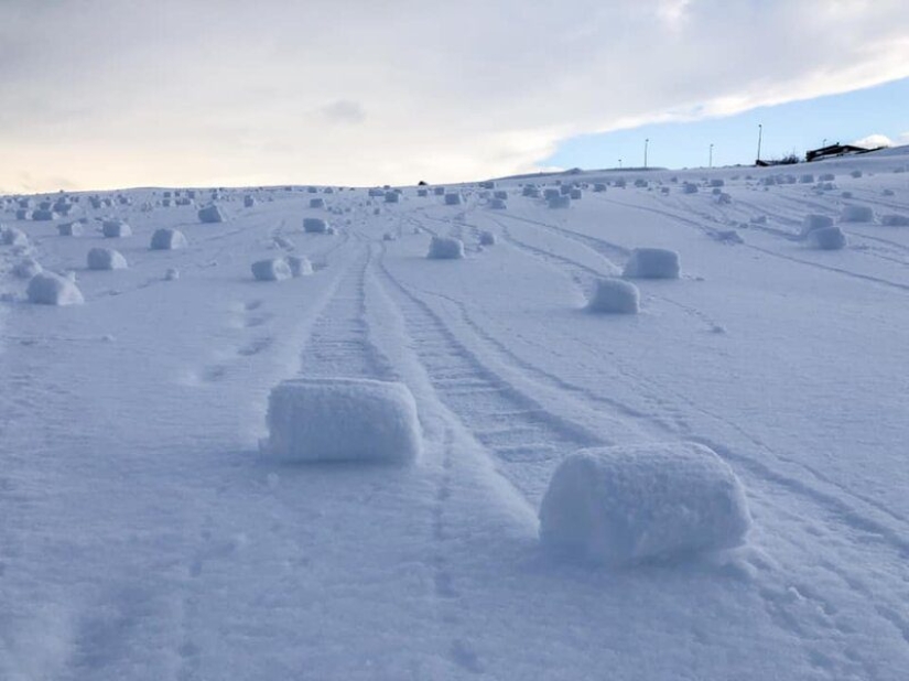 Se observó un raro fenómeno natural en el campo en el Reino Unido — rollos de nieve