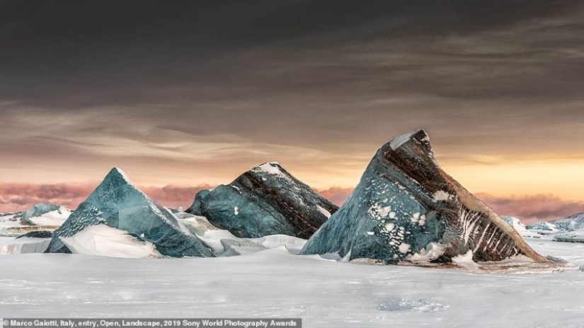 Selfies de monjas, fascinante iceberg y libertinaje en Jerusalén: quién será el ganador de los Sony World Photography Awards 2019