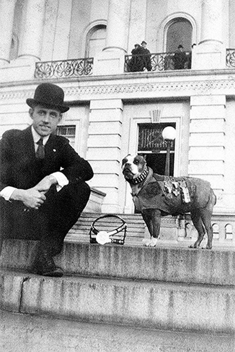 Sergeant Stubby — heroic dog of the First World War