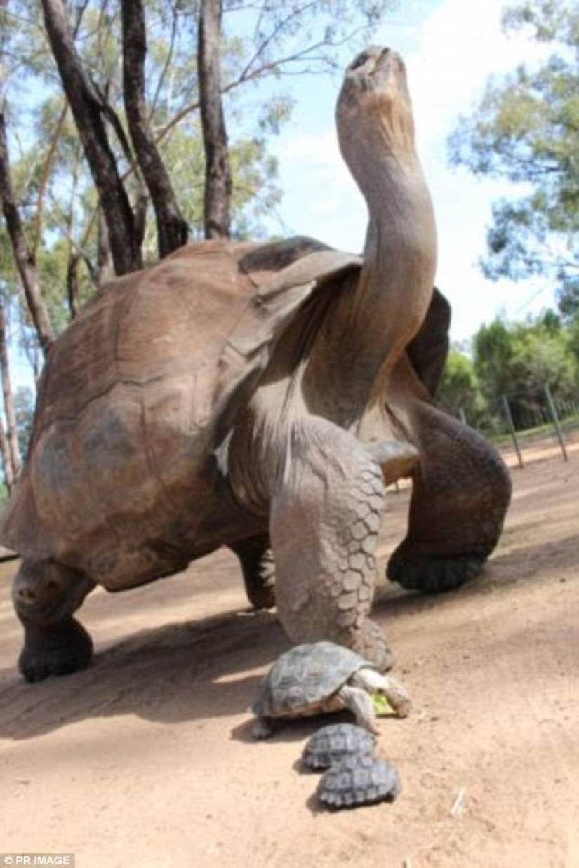 Serial killer from Australia lived secretly in a zoo for 7 years, stealing fruit from animals