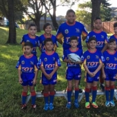 Seven-year-old "good giant" is not allowed to play rugby