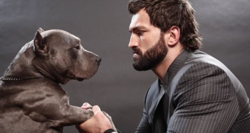 Shave immediately! According to scientific research, there are more microbes in a man's beard than in the hair of dogs