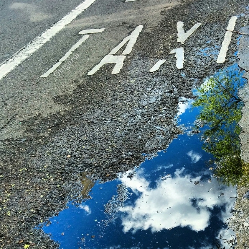 Siéntate en un charco: un mundo de reflejos asombrosos